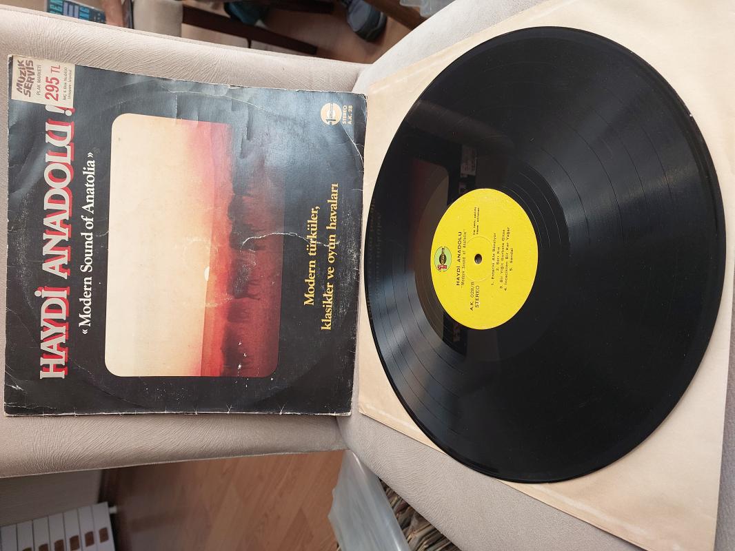 Haydi Anadolu ( Modern Sound Of Anatolia ) Türkiye Basım 33 Lük LP Plak