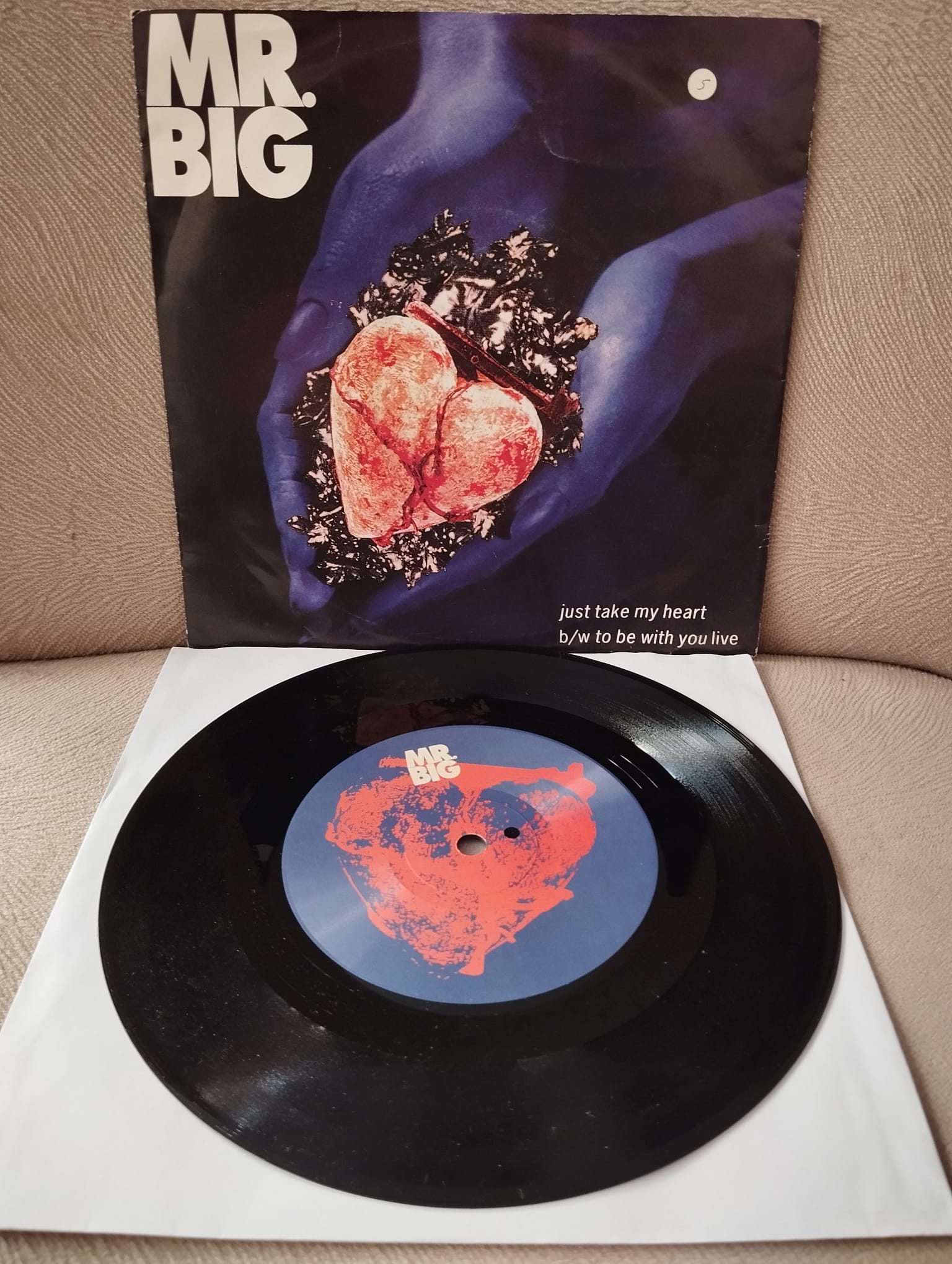 Mr. Big – Just Take My Heart -  1992 Fransa Basım 45lik Plak