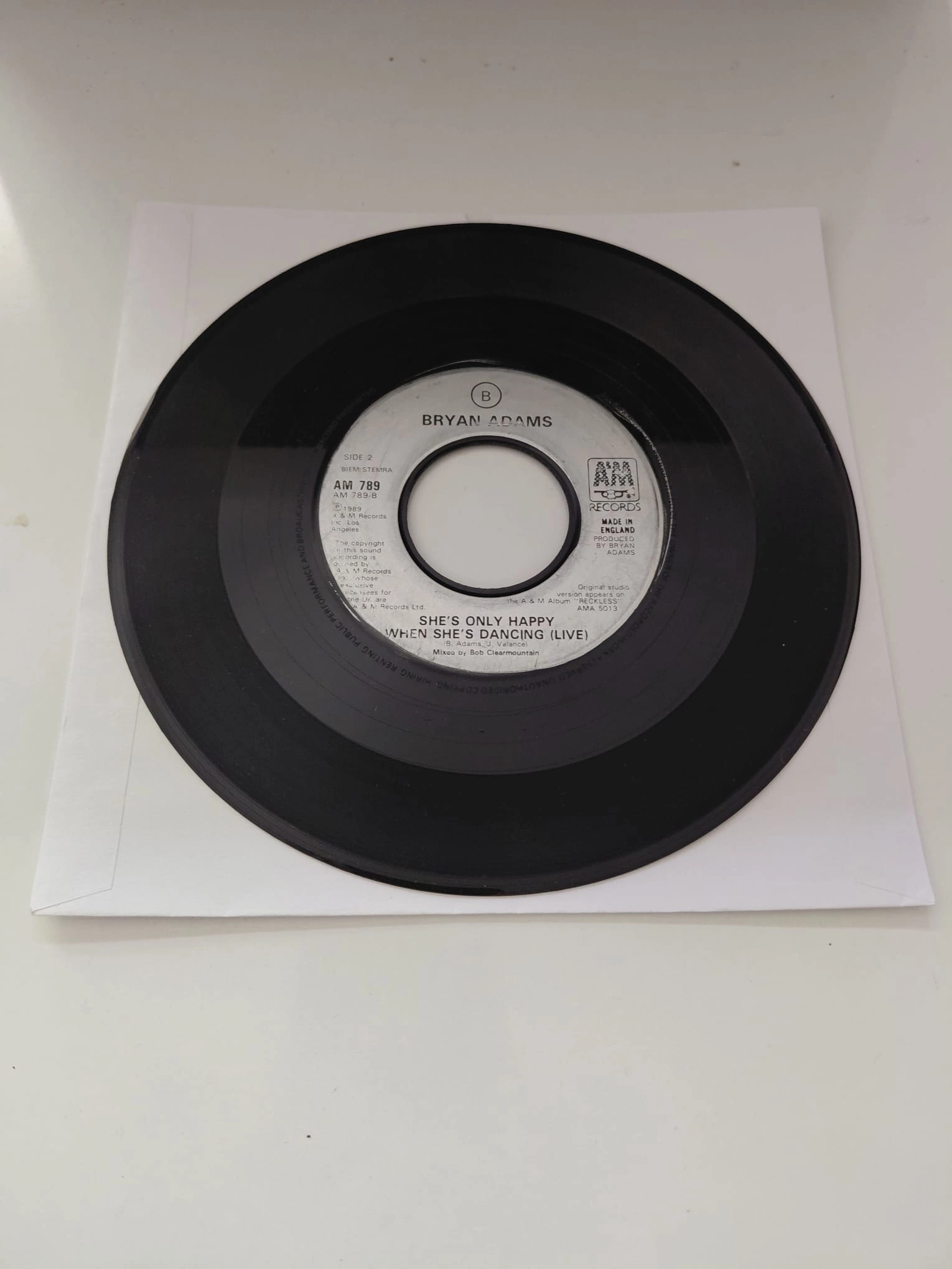 Bryan Adams  –  (Everything I Do) I Do It For You  - 1991  İngiltere Basım 45’lik  Plak /Kapaksız