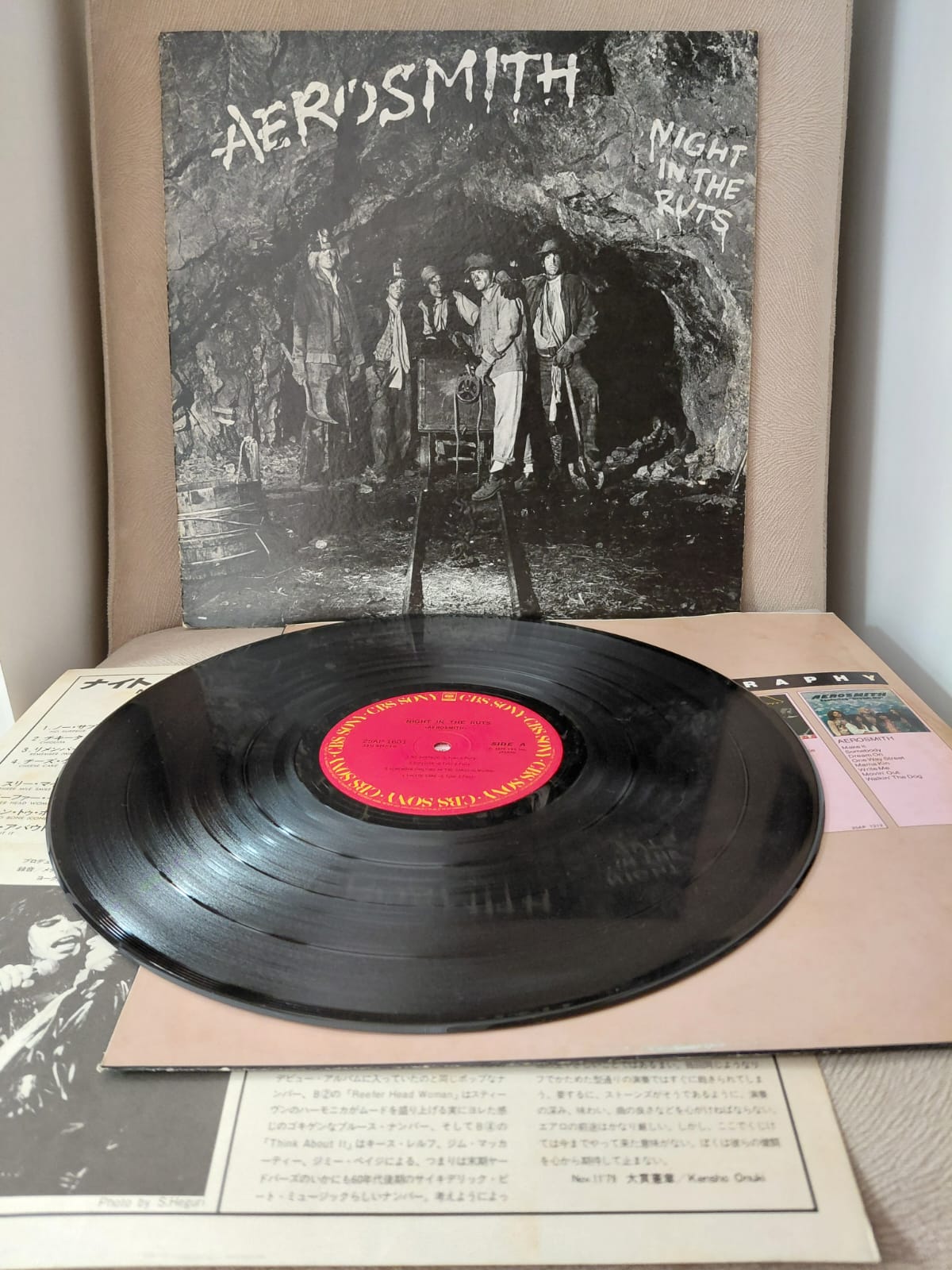 Aerosmith – Night In The Ruts - 1979 Japonya Basım LP Plak Albüm-2.el