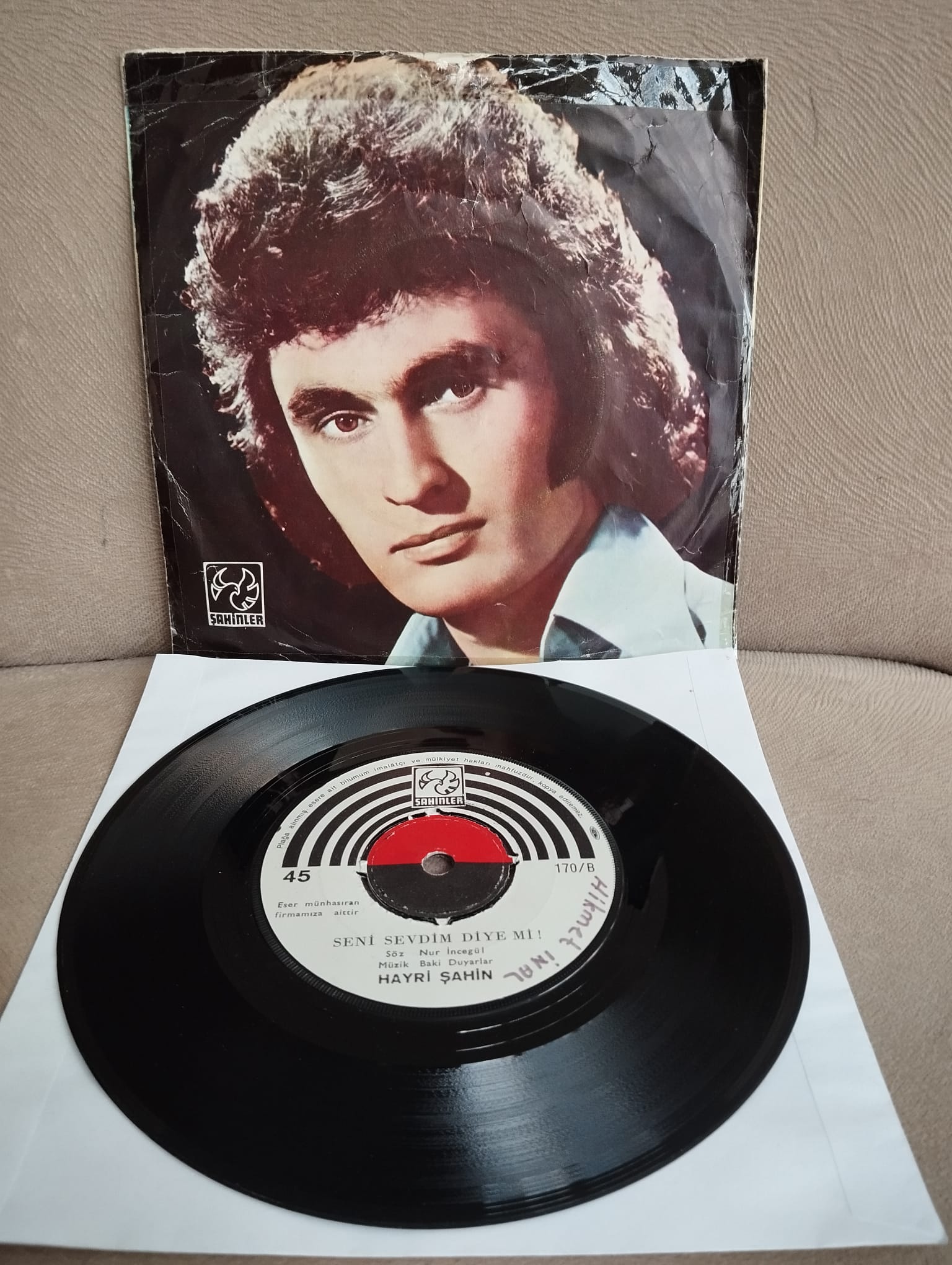 Hayri Şahin - Yalvarırım Dön Artık / Seni Sevdim Diye Mi  - Türkiye Basım  45 lik Plak