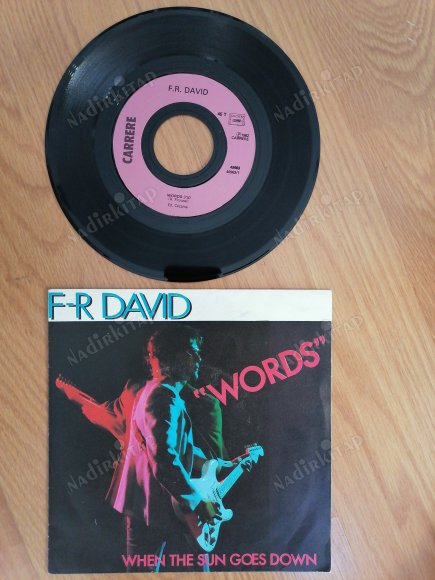 F-R DAVID - WORDS- 1982 FRANSA BASIM 45 LİK PLAK