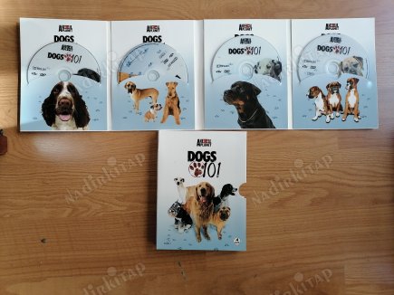 DOGS 101 / ANIMAL PLANET - 4 DVD LİK  - DVD BELGESEL Film - 178 DAKİKA   TÜRKİYE BASIM