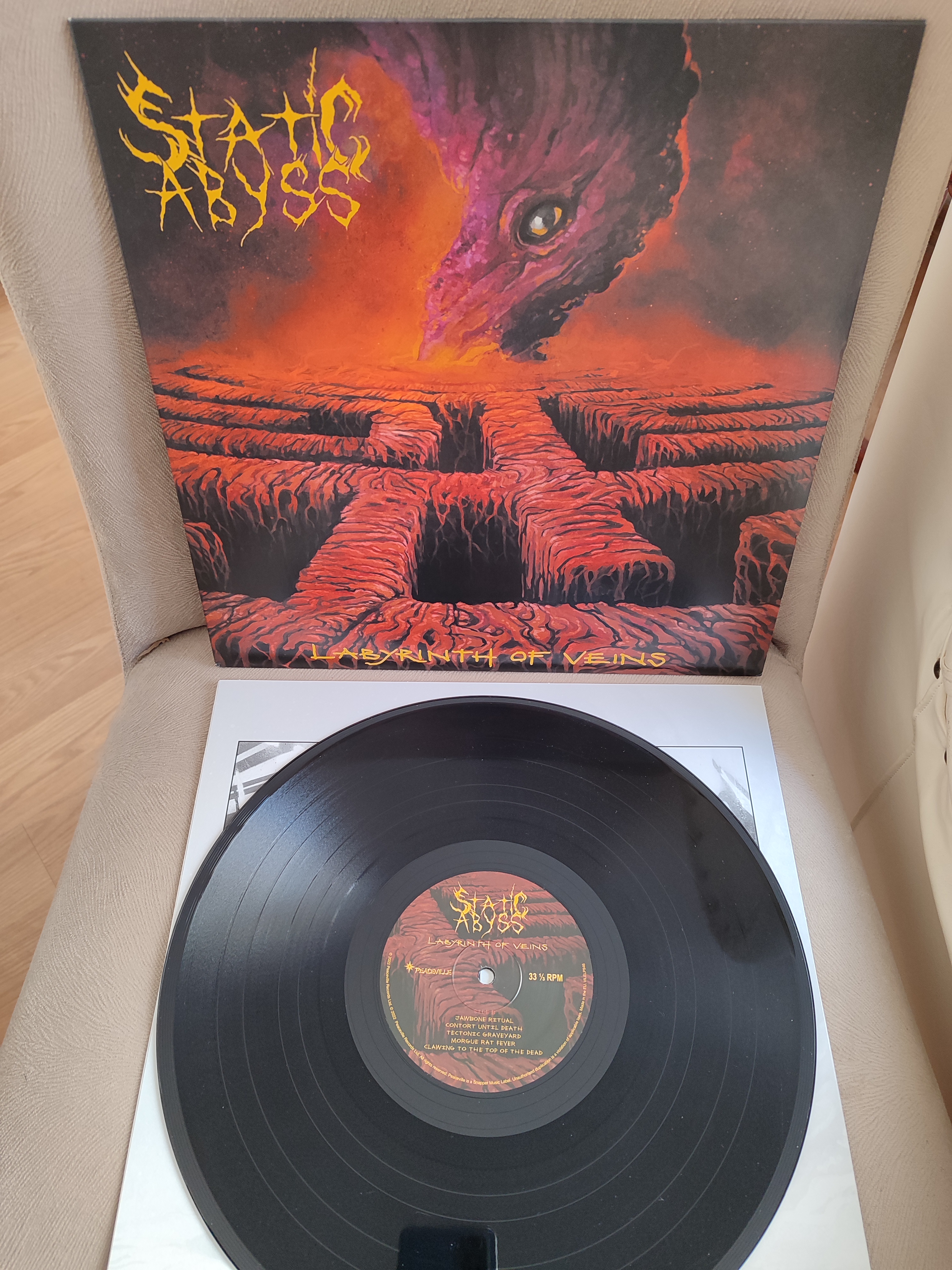 STATIC ABYSS ‎– Labyrinth Of Veins - 2022 Europe Basım 33 lük LP Plak - Death  Metal - Temiz 2. el