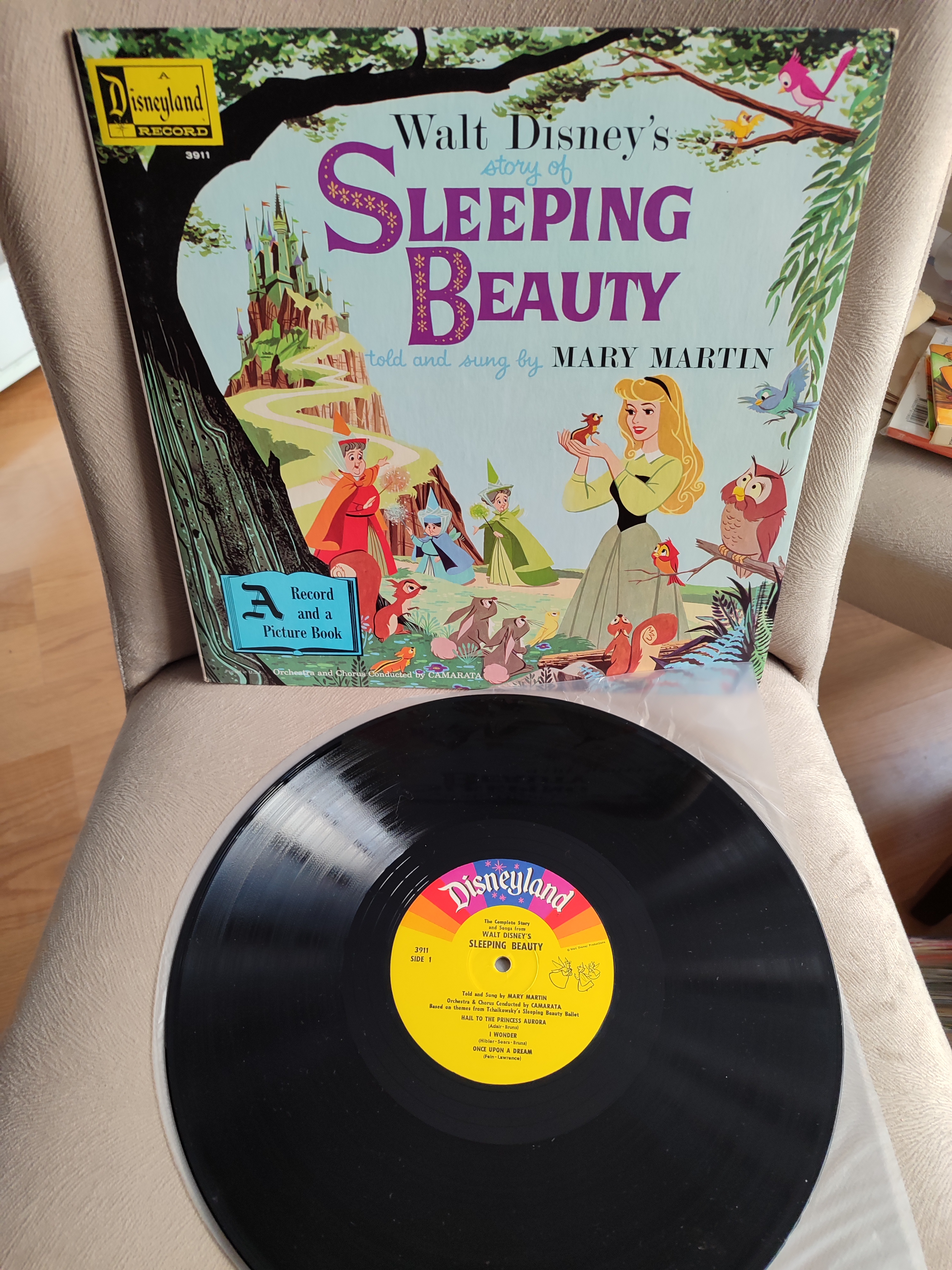 SLEEPING BEAUTY - Told & Sung By Mary Martin - 1958 USA Basım 33 lük LP Plak Temiz 2. el