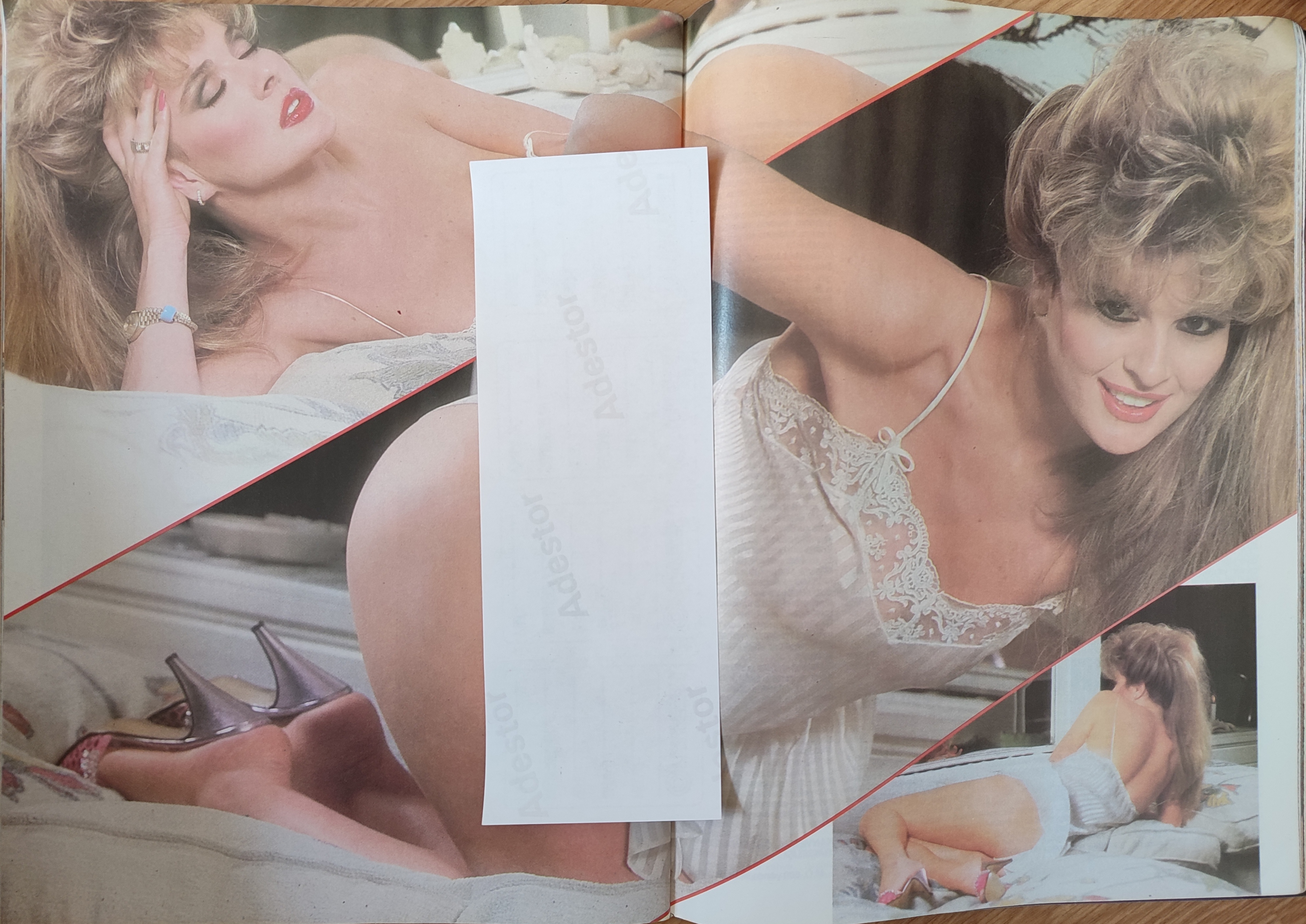PLAYMEN -  Yıl:2 Sayı:6 / Mayıs 1987 HARİKA AVCI  / Seval / Brigitte / Angela , Orta Sayfa Posteri:Maria, Söyleşi : Jupp DERWALL