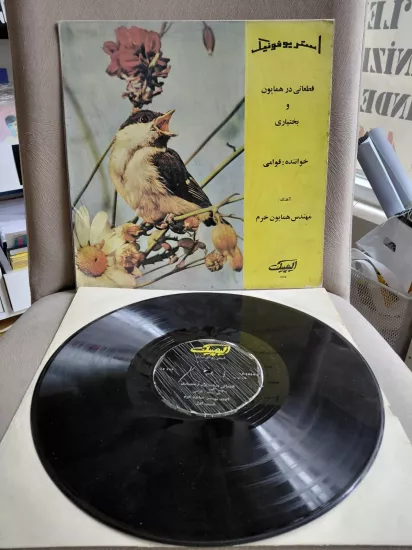Hossein Ghavami  -  İran Dönem Basım - 33lük LP Plak Albüm
