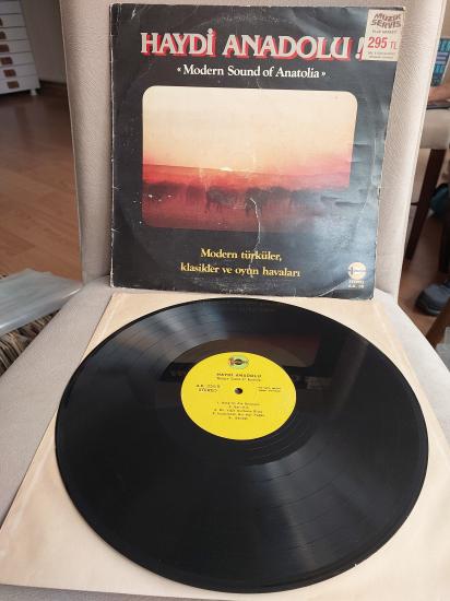 Haydi Anadolu ( Modern Sound Of Anatolia ) Türkiye Basım 33 Lük LP Plak