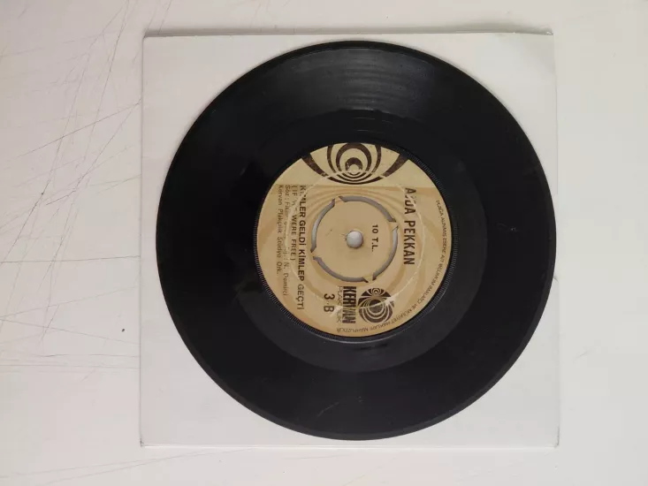 Ajda Pekkan – Kaderimin Oyunu / Kimler Geldi Kimler Geçti - 1973 Türkiye Basım  45 lik Plak/Kapaksız