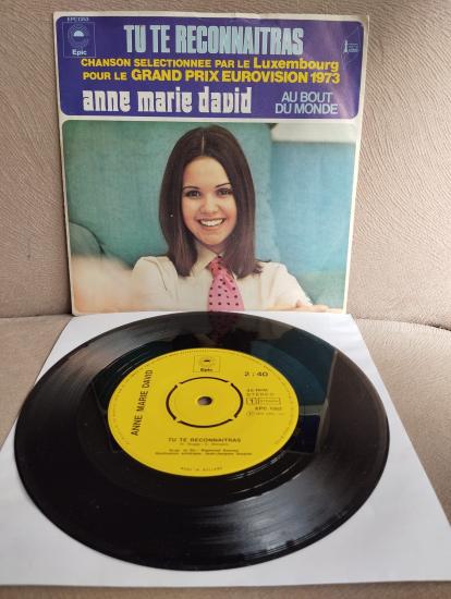 Anne Marie David  – Tu Te Reconnaitras -  1973   Hollanda Basım 45 lik Plak