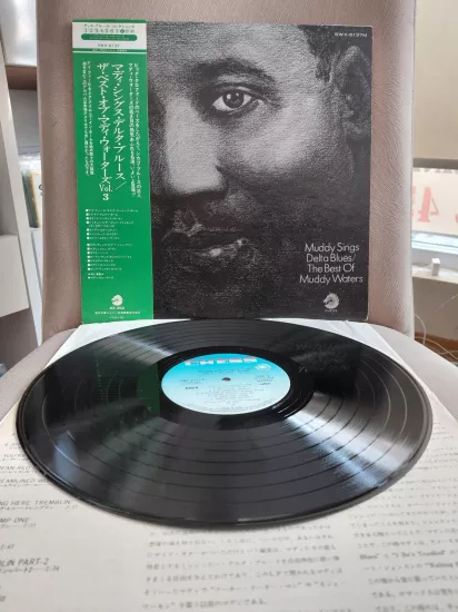 Muddy Waters  ‎– Muddy Sings Delta Blues / The Best Of Muddy Waters - 1974 Japonya Basım Albüm LP Plak - Obi’li