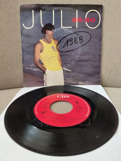 Julio Iglesias  –  Ae, Ao -  1988  Hollanda Basım 45 lik Plak