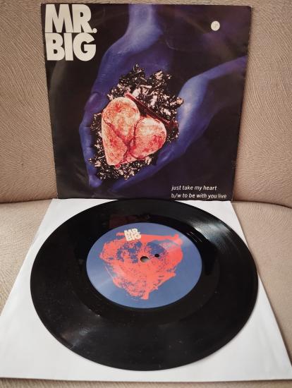 Mr. Big – Just Take My Heart -  1992 Fransa Basım 45lik Plak