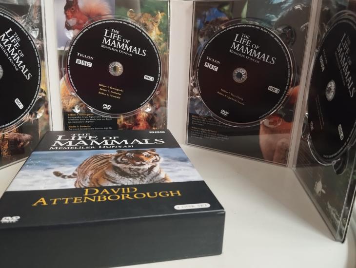 BBC EARTH The Life Of Mammals - Memeliler Dünyası  - 2. El 4X DVD Set - Belgesel