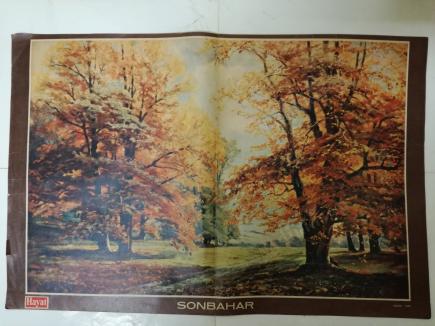 SONBAHAR-RESSAM:KOPP 32X49 CM BOYUTLARINDA TABLO POSTER