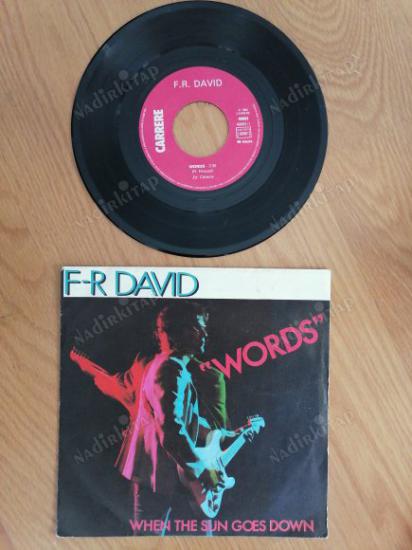 F-R DAVID - WORDS- 1982 FRANSA BASIM 45 LİK PLAK