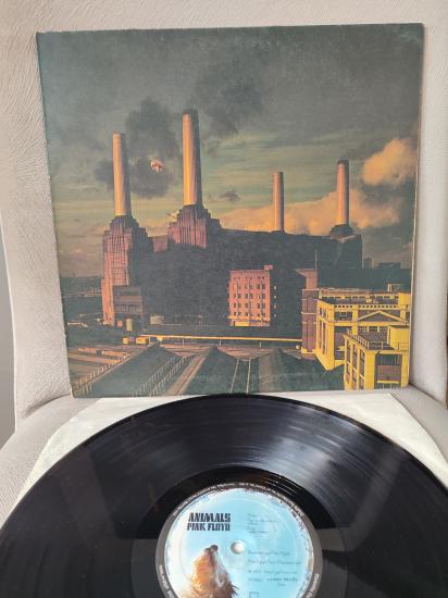 PINK FLOYD - Animals - 1977 İngiltere Basım LP Plak Albüm