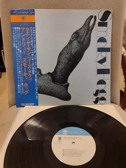 Andrew ’’Smoky’’ Hogg  When The Sun Goes Down -  Japonya Basım Nadir  LP Plak Albüm Obi’li 2.EL
