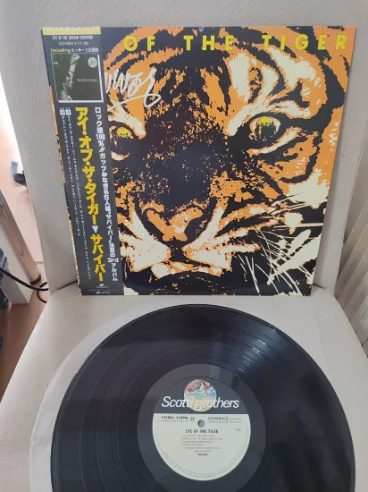 Survivor - Eye Of The Tiger ( Rocky III ) - 1982 Japonya Basım LP Plak- Obi’li